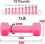 Dumbbells with Neoprene Coating（Single）, 1LB-3LB Anti-Roll, Anti-Slip, Hexagonal Home Fitness Equipment for Shoulder, Neck, and Hand Training for Seniors over 55 old - Image 2